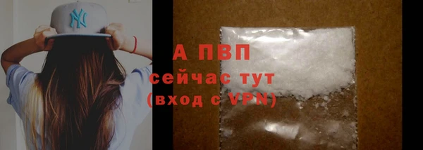 крисы Касимов