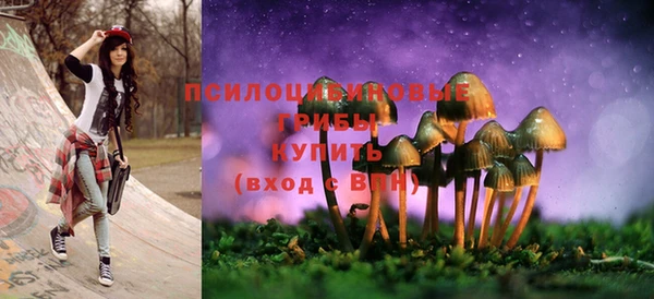 крисы Касимов