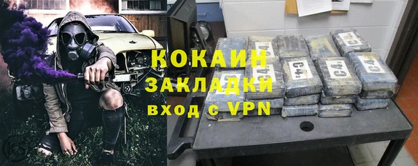 крисы Касимов