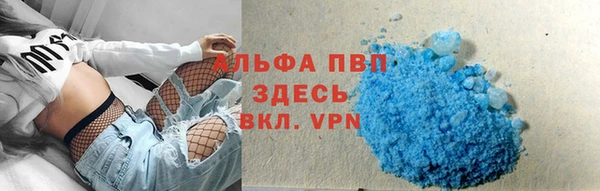 крисы Касимов