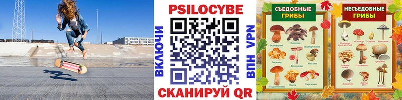 Купить где  Воткинск  Галлюциногенные грибы мицелий 