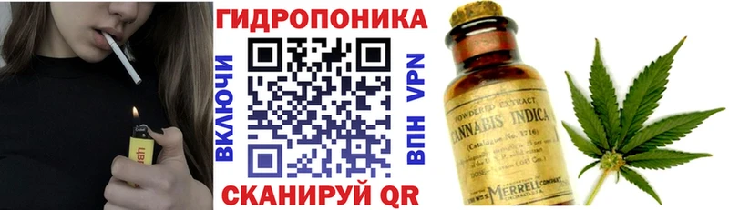 Купить где  Воткинск  Канабис SATIVA & INDICA 